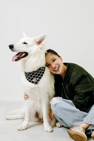 国産 犬用バンダナ リズム・ライン【小型犬~大型犬まで対応】