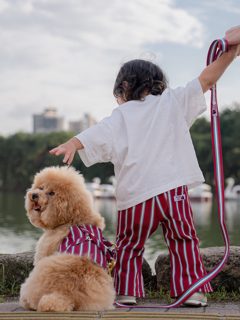 ワンちゃんと過ごす時間が、子どもの「非認知能力」に届いているかもしれない。
