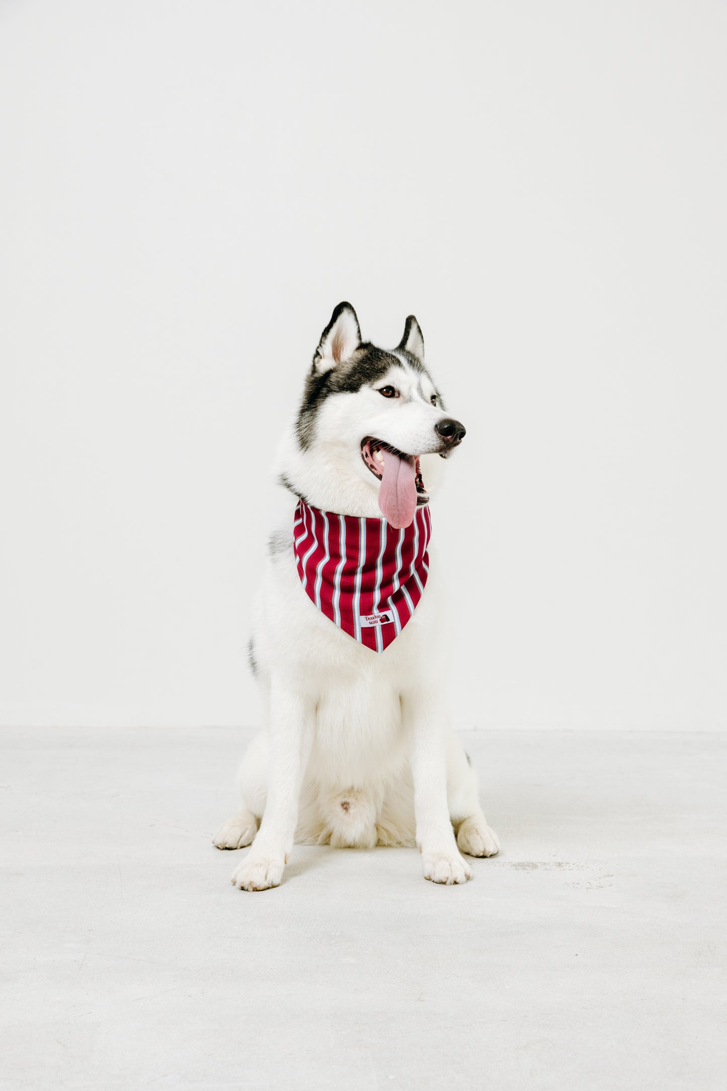 国産 犬用バンダナ マリン・ストライプ【小型犬~大型犬まで対応】