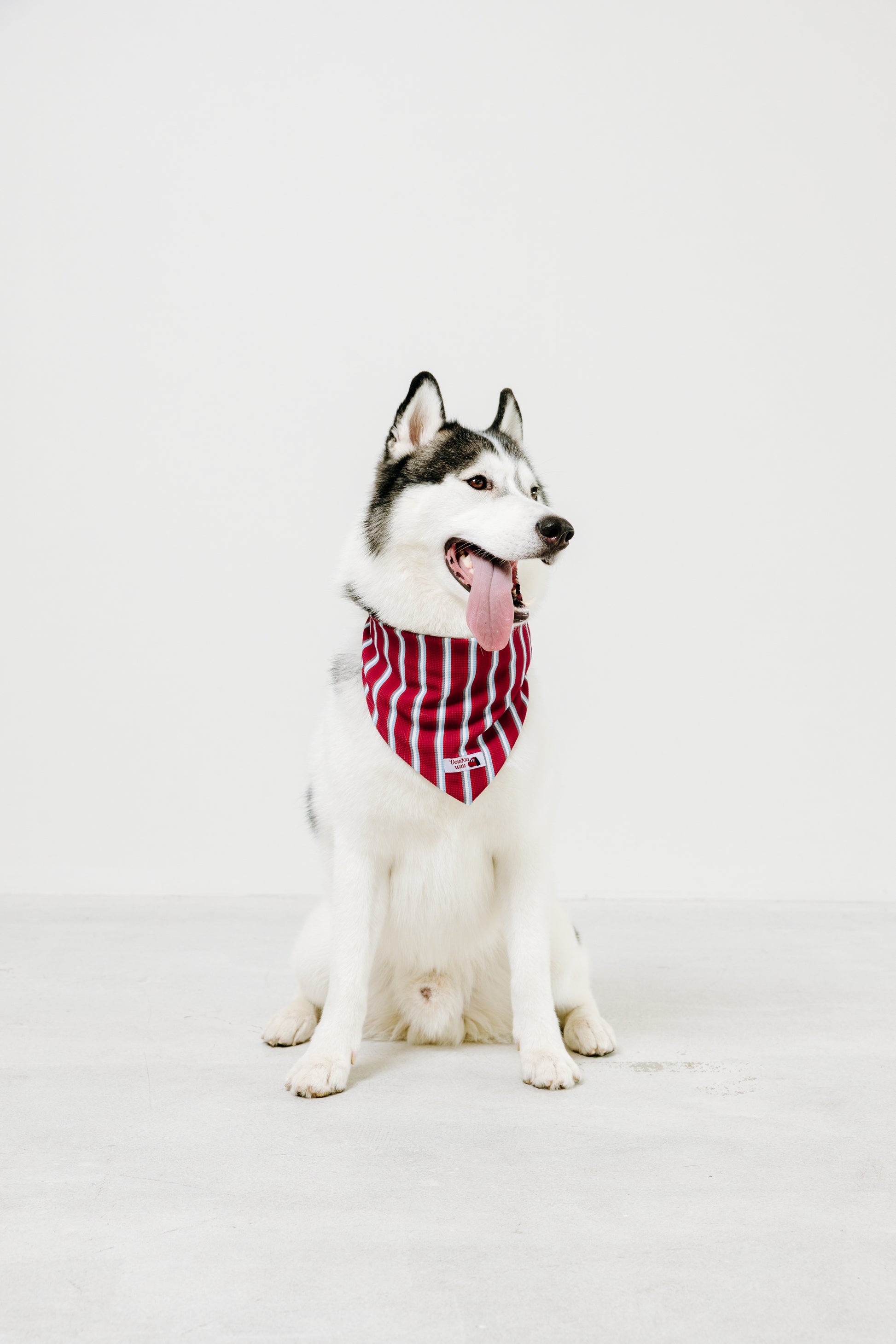 国産 犬用バンダナ マリン・ストライプ【小型犬~大型犬まで対応】