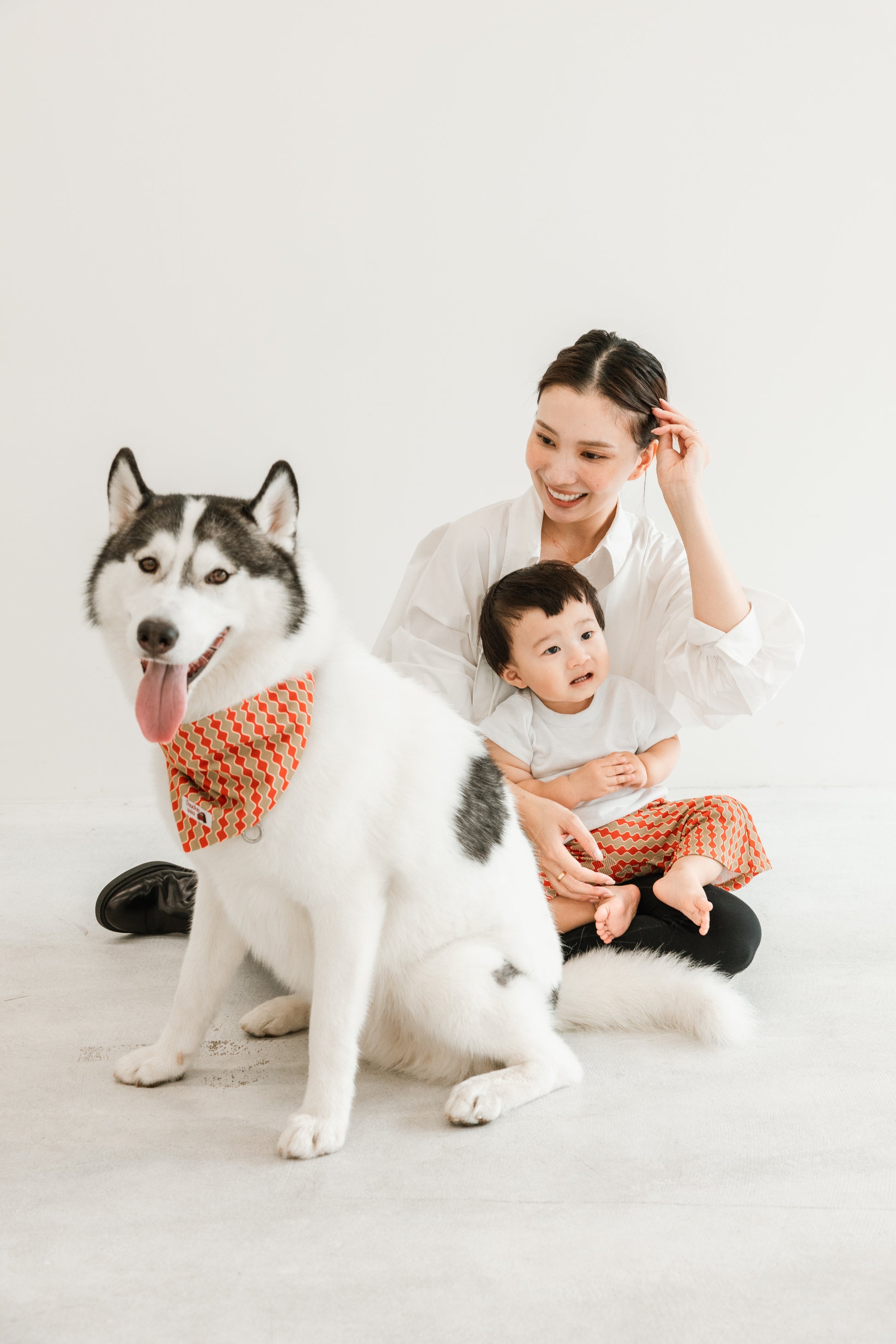 国産 犬用バンダナ ロイヤル・ウェーブ【小型犬~大型犬まで対応】