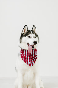 国産 犬用バンダナ マリン・ストライプ【小型犬~大型犬まで対応】