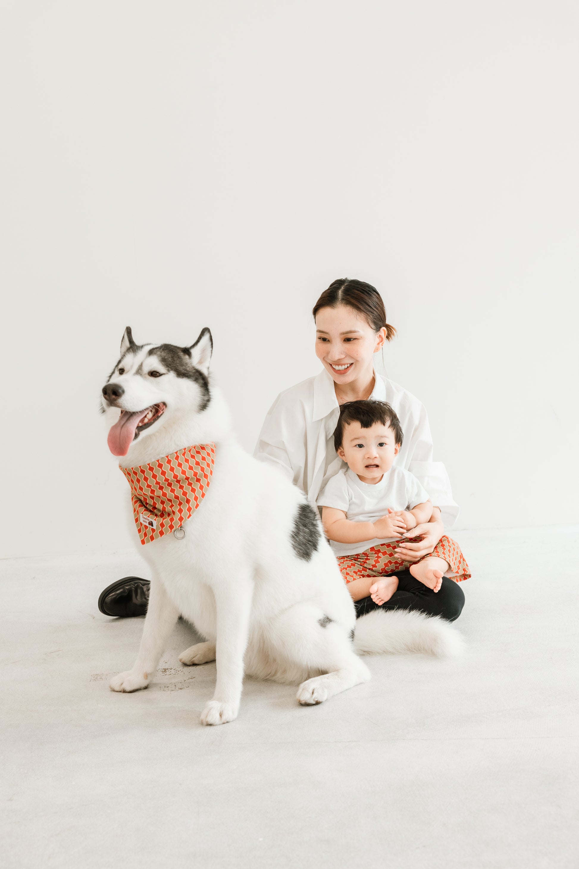 国産 犬用バンダナ ロイヤル・ウェーブ【小型犬~大型犬まで対応】
