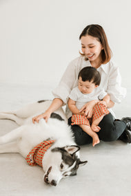 国産 犬用バンダナ ロイヤル・ウェーブ【小型犬~大型犬まで対応】