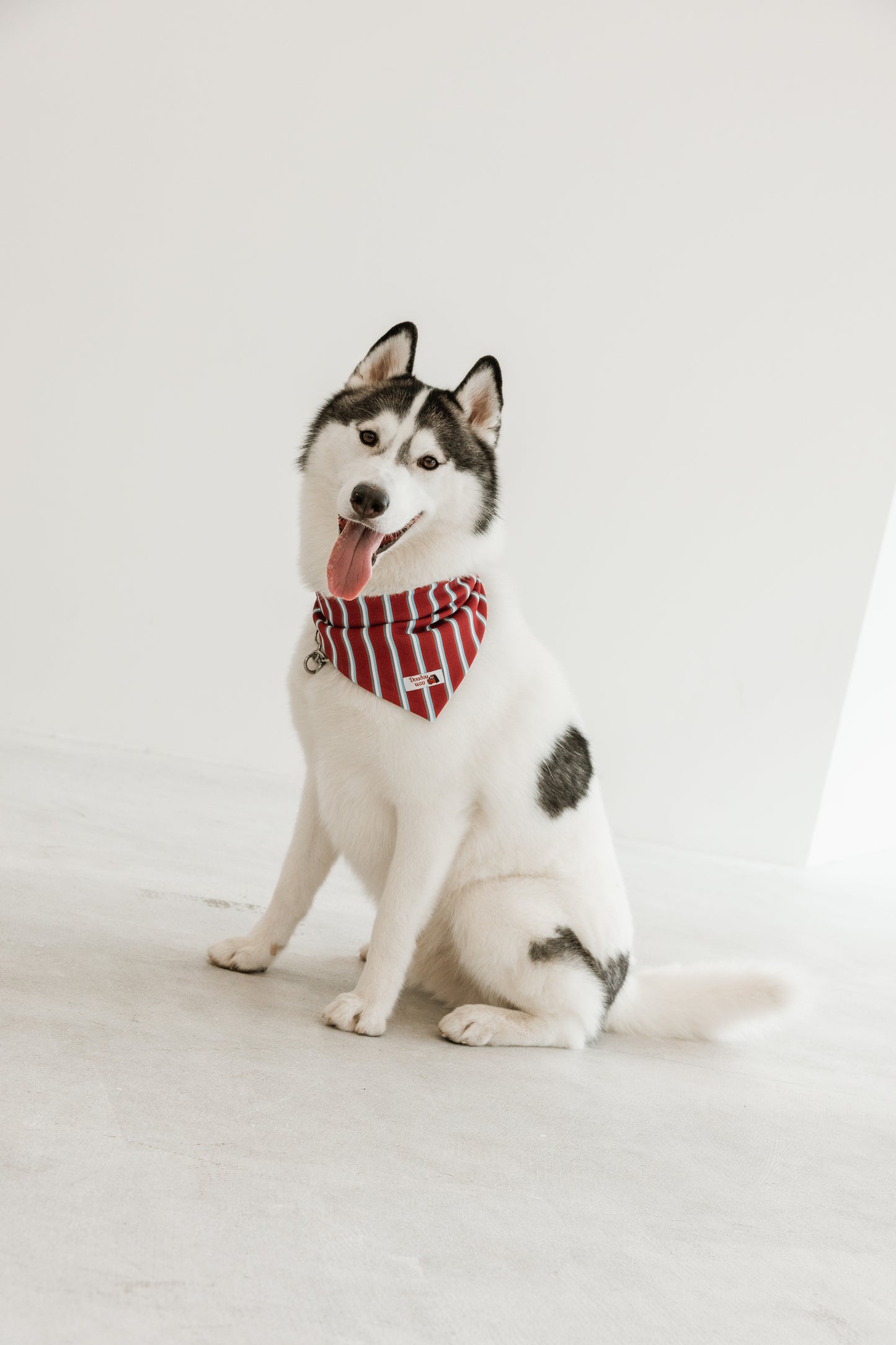 国産 犬用バンダナ マリン・ストライプ【小型犬~大型犬まで対応】