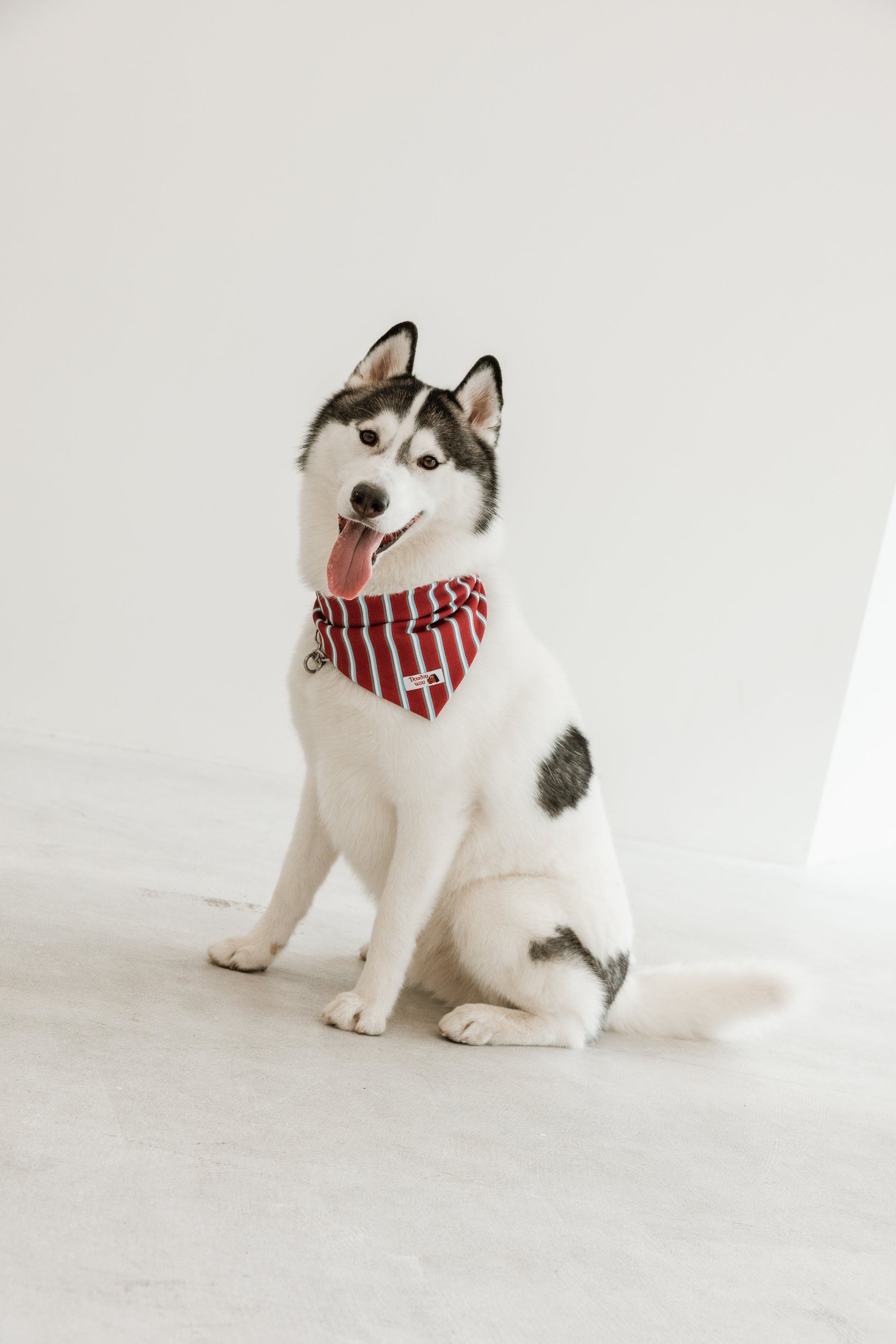 国産 犬用バンダナ マリン・ストライプ【小型犬~大型犬まで対応】