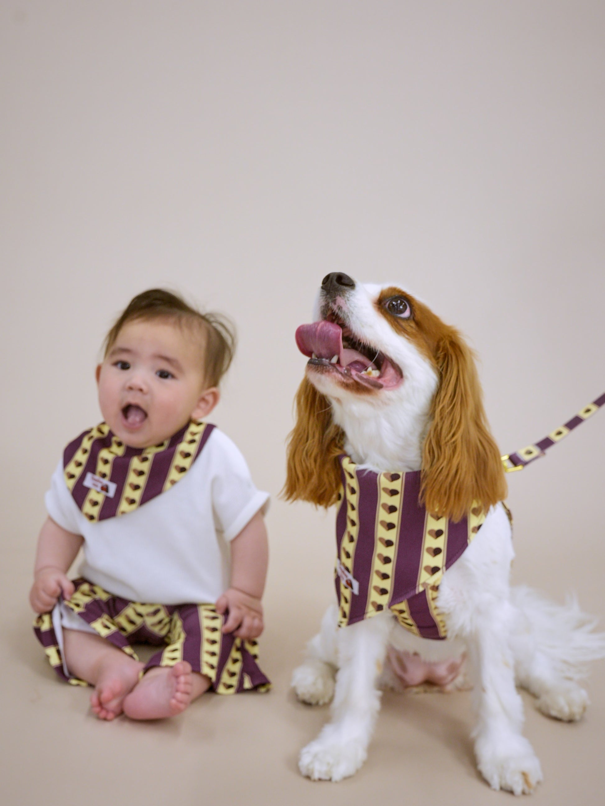 【レトロ・ハート】 HARNESS バンダナ付き