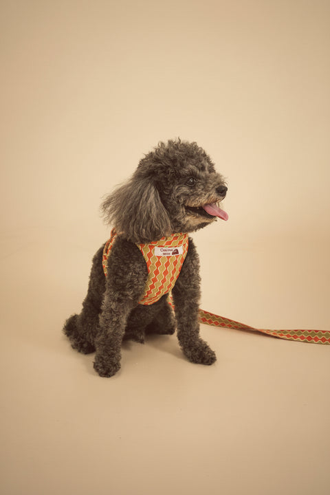 【ロイヤル・ウェーブ】 HARNESS バンダナ付き