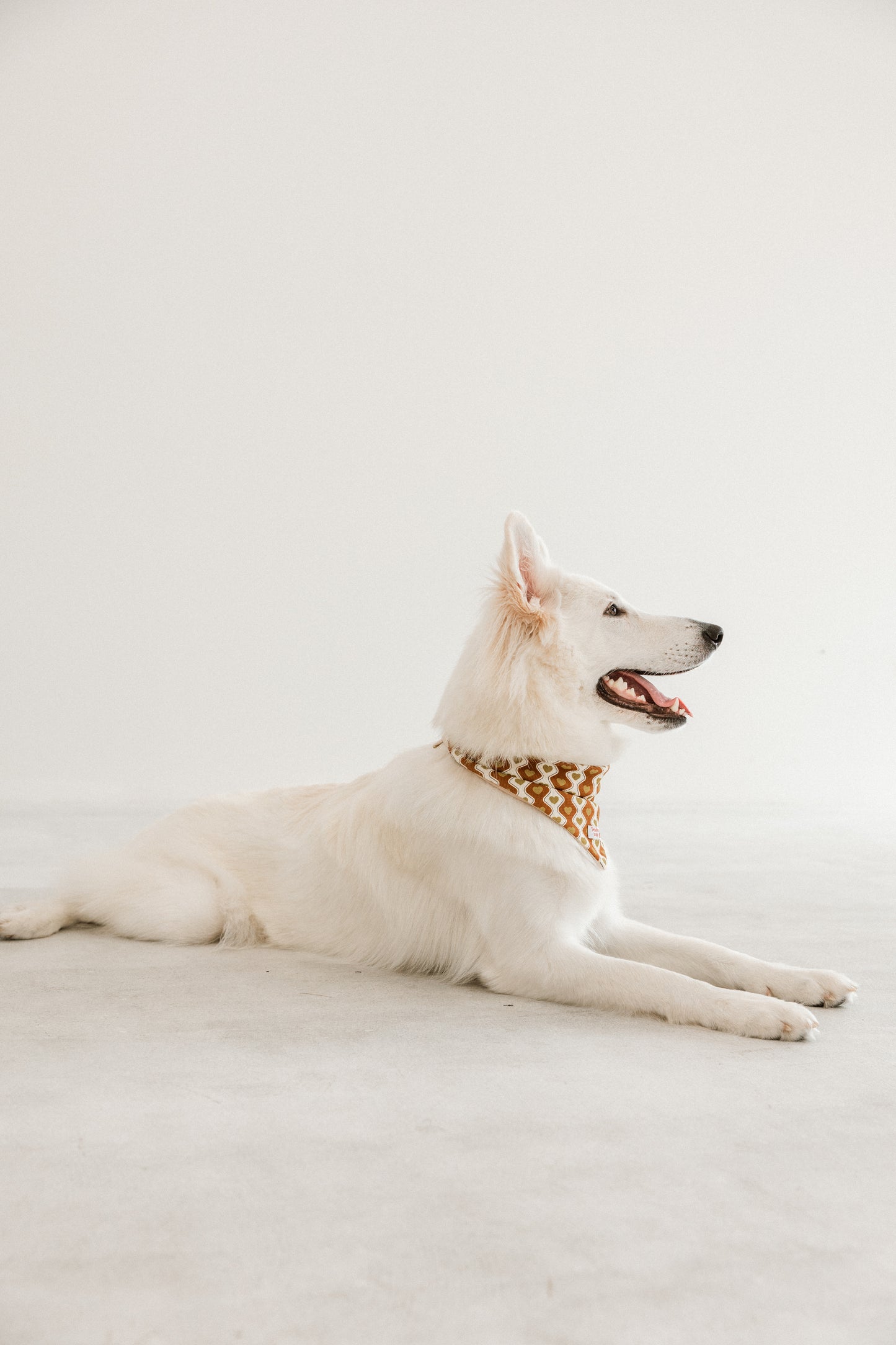 国産 犬用バンダナ ラブレター・ライン【小型犬~大型犬まで対応】