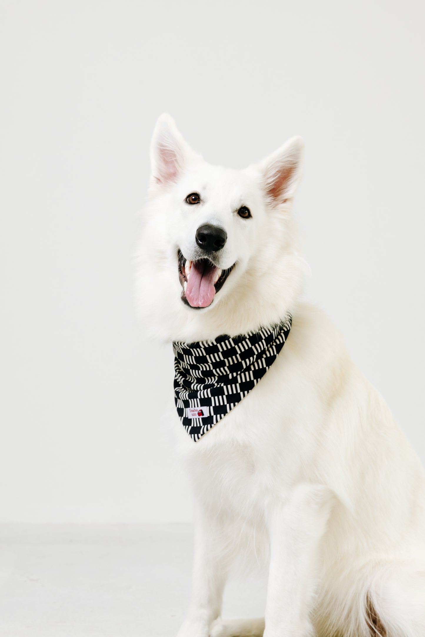 国産 犬用バンダナ リズム・ライン【小型犬~大型犬まで対応】