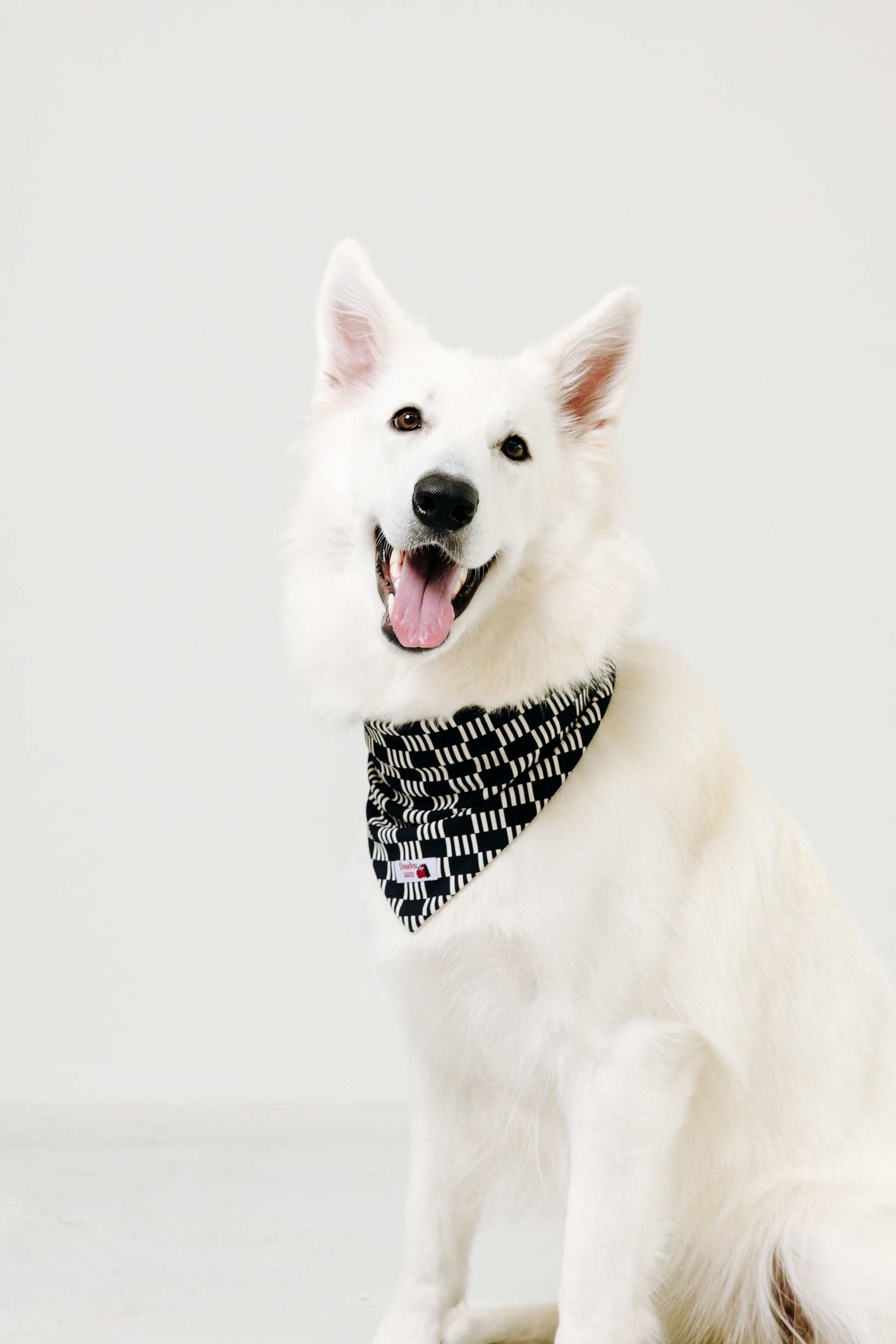 国産 犬用バンダナ リズム・ライン【小型犬~大型犬まで対応】