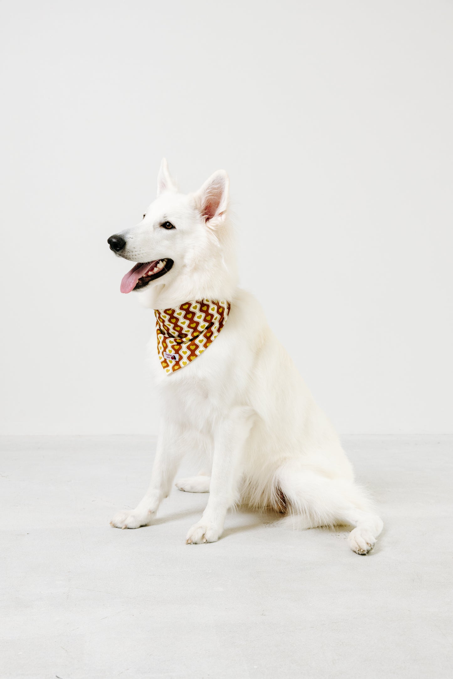 国産 犬用バンダナ ラブレター・ライン【小型犬~大型犬まで対応】