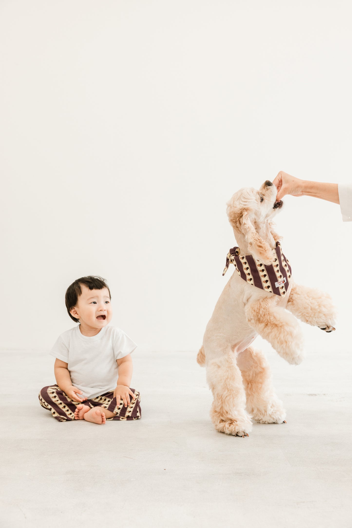 国産 犬用バンダナ レトロ・ハート【小型犬~大型犬まで対応】