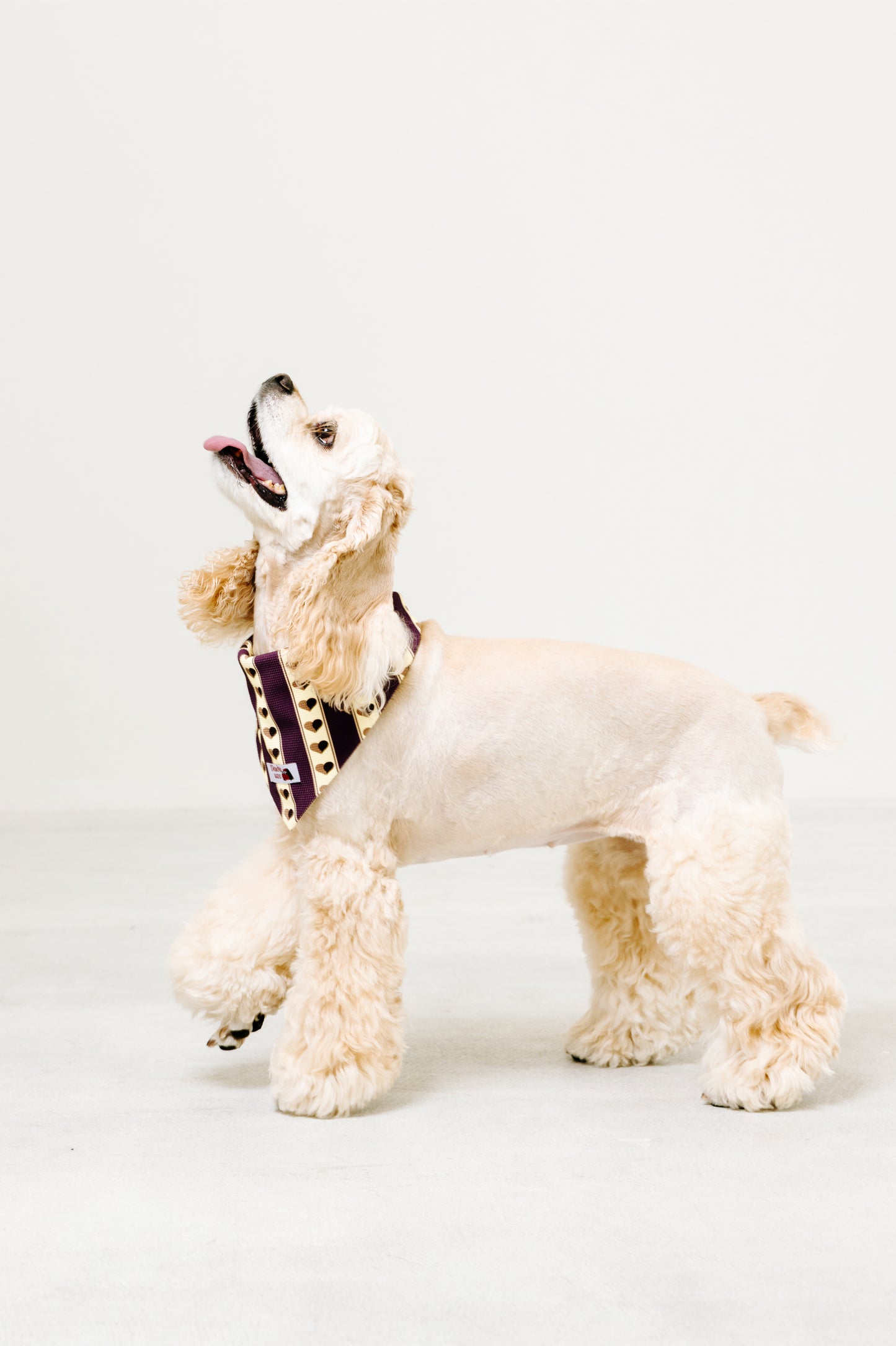 国産 犬用バンダナ レトロ・ハート【小型犬~大型犬まで対応】