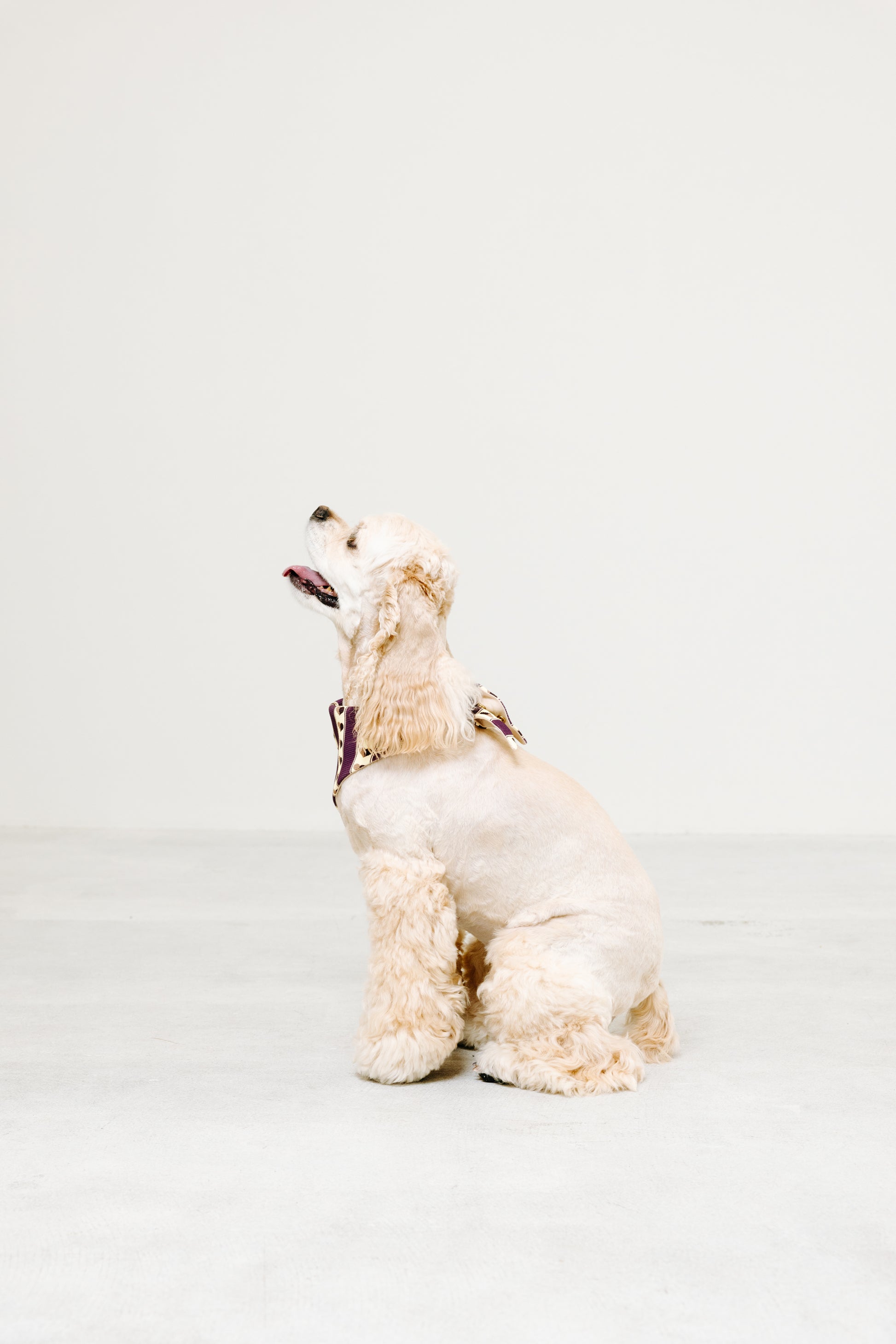 国産 犬用バンダナ レトロ・ハート【小型犬~大型犬まで対応】
