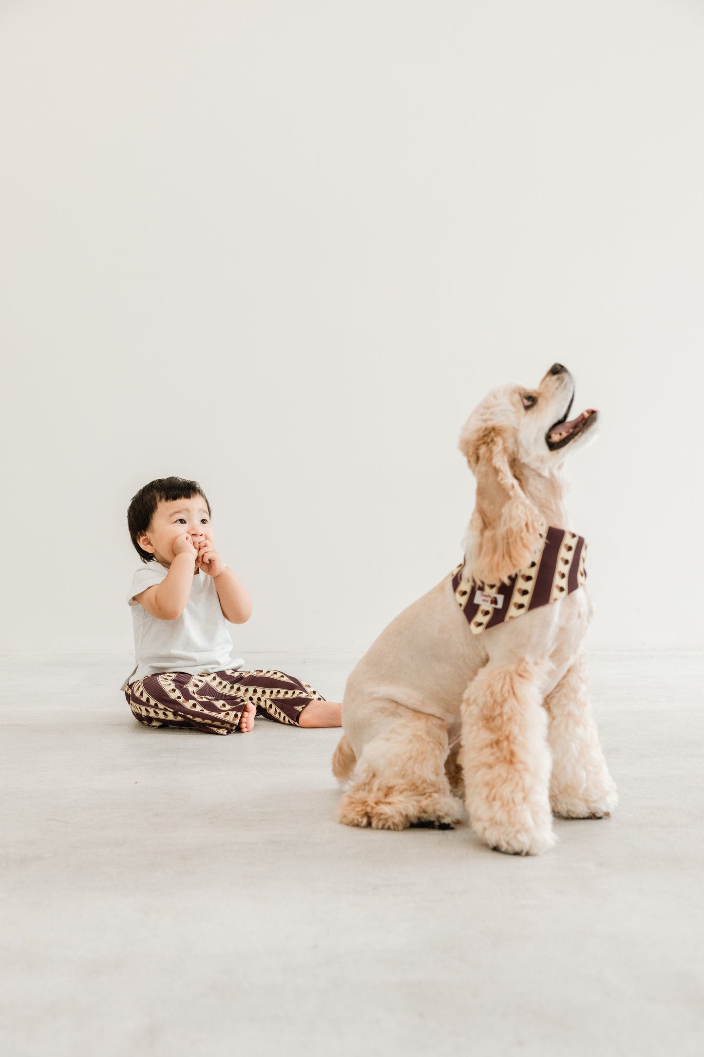 国産 犬用バンダナ レトロ・ハート【小型犬~大型犬まで対応】